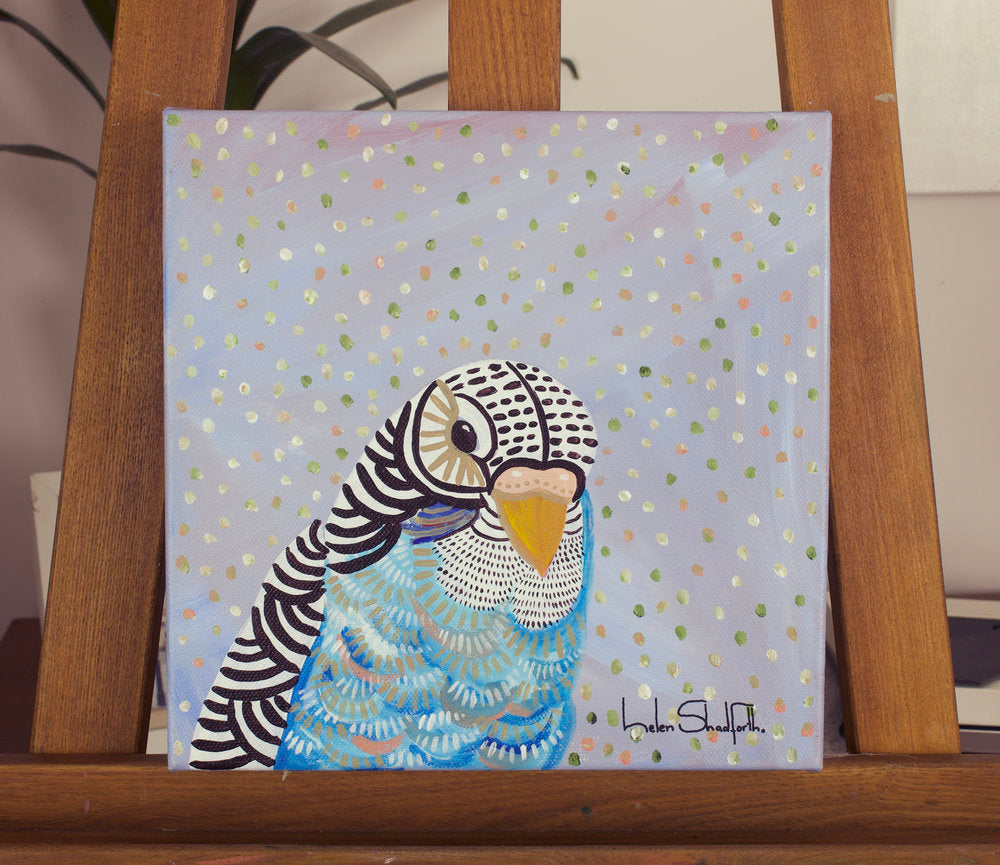 Budgie Blue ***SOLD