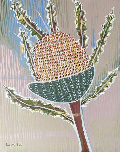 Buderim Banksia